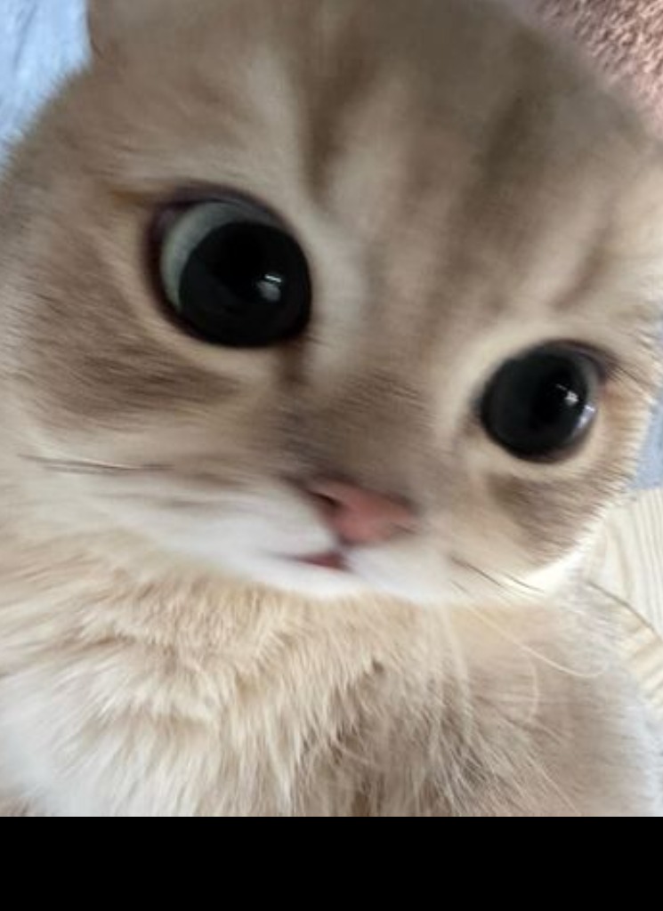 Guest_rheaily