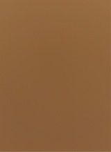 immagine avatar