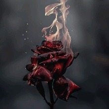 N0ILY4