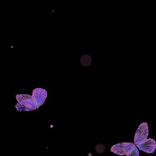Guest_VANINA20