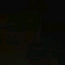 Guest_Coco883725
