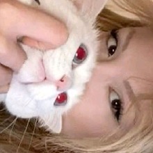 Guest_Alieceisish