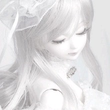 Guest_yywief