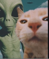 Guest_CatD4g