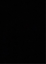 Guest_DylanSanchez3