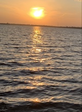 Guest_Jadelyn41