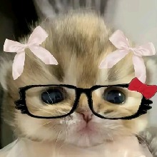 Guest_Kenhiamtzz