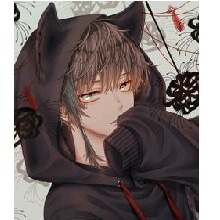 Akito27