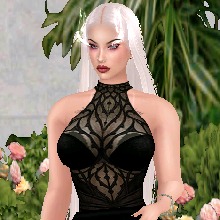 Guest_PittyVecchi