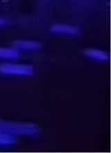 Guest_PariiXX