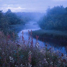 Guest_AuroraDuvall