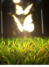 Guest_Sarshi