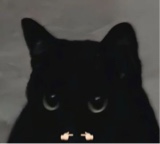 Guest_jander11