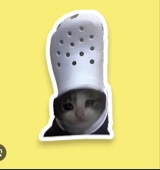 Guest_Lykkie1