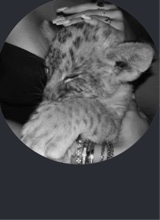 Guest_Aiishitaa