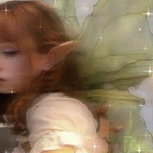 Guest_Ari253378