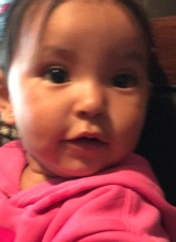 Guest_Briana568763