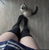nnu