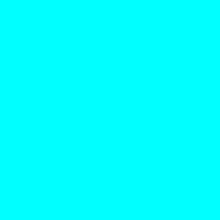 Guest_kuttcqs