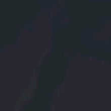 Guest_Layla507764