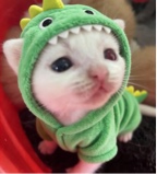 LittleLuvz