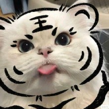 Guest_k1w4aa