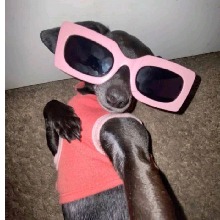 Guest_AriGostosa