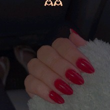 Guest_Daniela1241