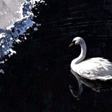Guest_ghostwhiteolived30a4