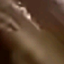 Guest_rangatirameitner37b3