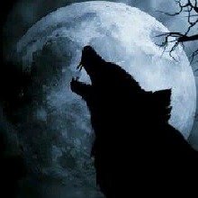 Nevadowolf