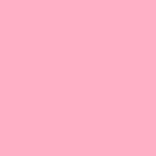 Guest_Isabella541138