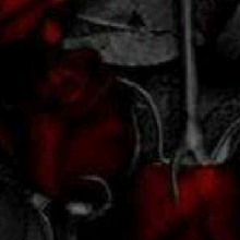 Guest_DarkRoses19