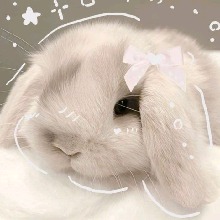 Guest_Shilky