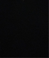 Guest_Milani893620