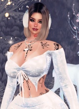 dama95