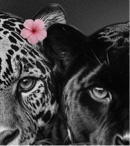 Guest_Estefania28