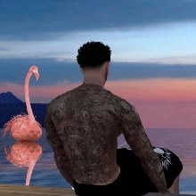 Guest_DuhBronks1