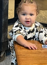 Guest_sharrerjade00gmailco