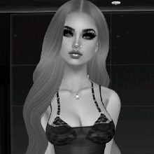 Guest_Kitten17