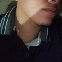 Guest_Alex856329