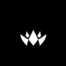 Guest_CodyFN8