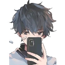 avpic