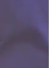 Guest_Neyou14
