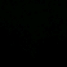 Guest_VitorS1