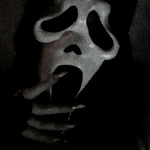 immagine avatar