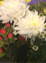 Guest_grace187297