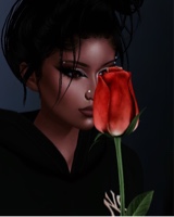 immagine avatar