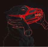 GhostWolf27