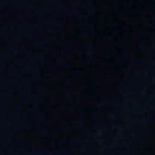 Guest_Xlxlxl1
